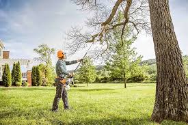 Best Lawn Mowing  in Arcola, TX